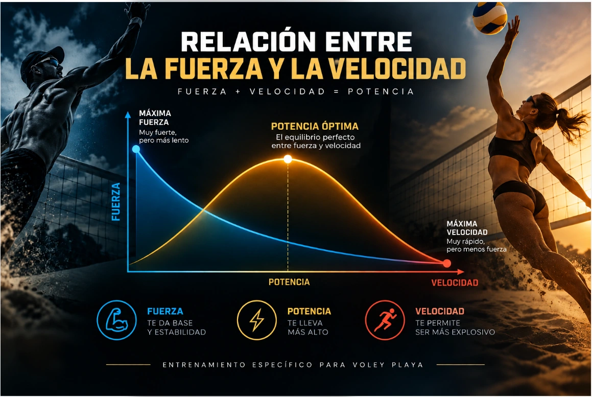 Relación entre fuerza y velocidad: las cargas altas se mueven más lento y las cargas bajas a mayor velocidad; la potencia óptima combina ambas.